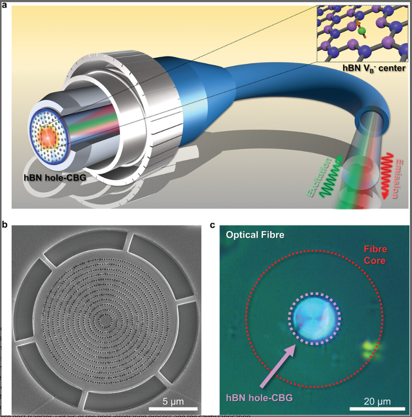 [문종성 석박통합과정, 김제형 교수,ADVANCED OPTICAL MATERIALS게재]Fiber-Integrated van der Waals Quantum Sensor with an Optimal Cavity Interface