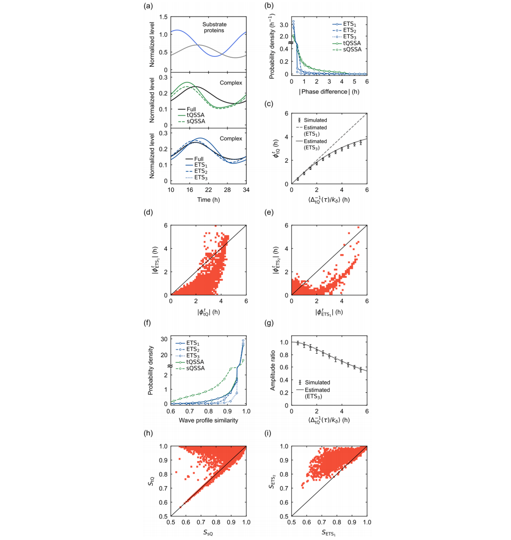 [채정훈 석박통합과정, 임록택 교수, 김철민 교수, JOURNAL OF THEORETICAL BIOLOGY 게재]Enlightening the blind spot of the Michaelis-Menten rate law: The role of relaxation dynamics in molecular complex formation