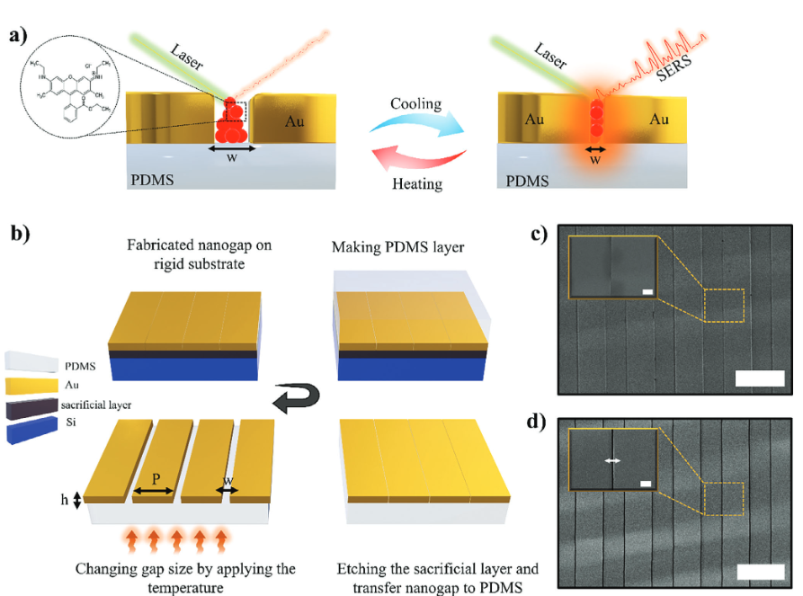 [Mahsa Haddadi Moghaddam 박사과정, 김대식 교수, ADVANCED OPTICAL MATERIALS 게재]Tuning 1D Plasmonic Gap at Nanometer Scale for Advanced SERS Detection