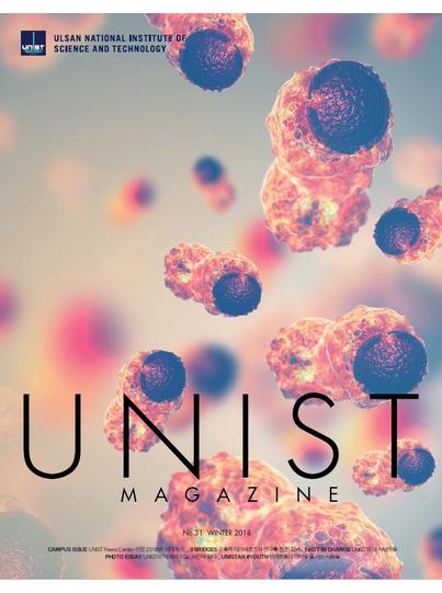 Magazine No.31