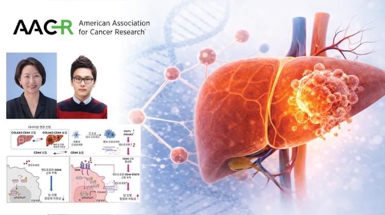 New Study Identifies How Obesity-Related Liver Cancer Becomes More Aggressive and Resistant to Treatment