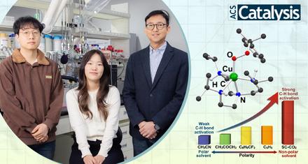 강력한 탄소-수소의 결합, 분해할 수 있는 촉매 개발했다